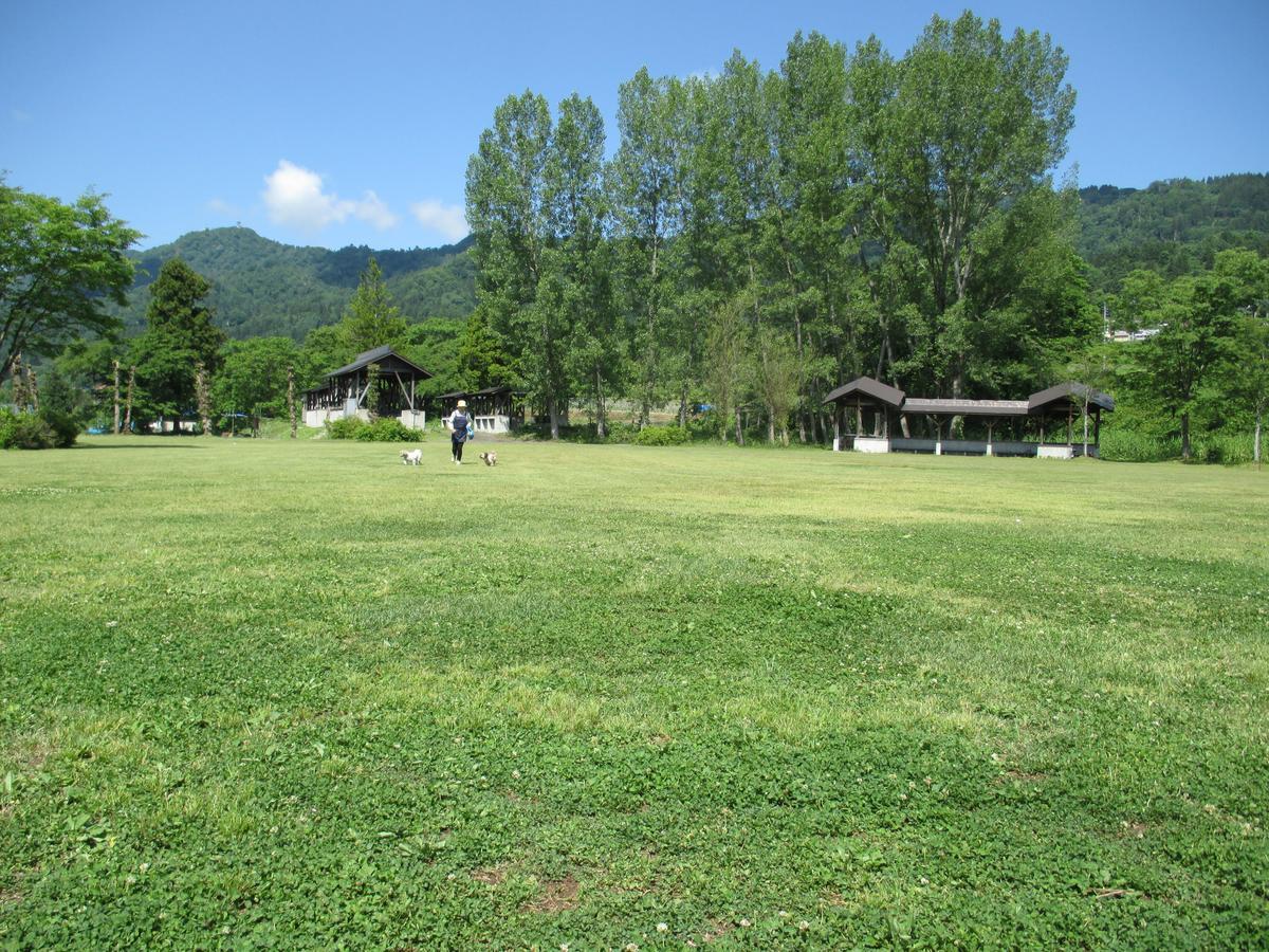 Togari Onsen Alpen Plaza Hotel Iijama Kültér fotó